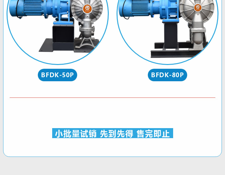 001 (1) BFDK-50P,BFDK-80P