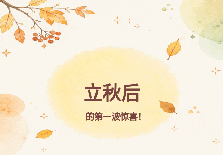 边锋旧塑料泵抵钱活动图一