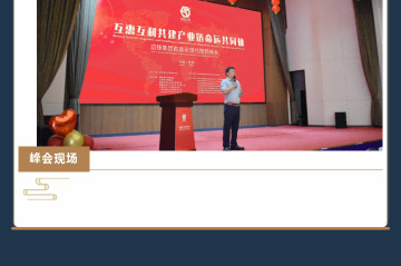 边锋诚邀您莅临边锋集团全球代理商峰会图十四