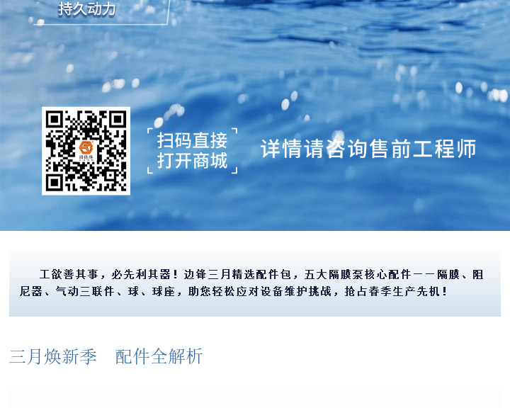 边锋隔膜泵精选配件图三