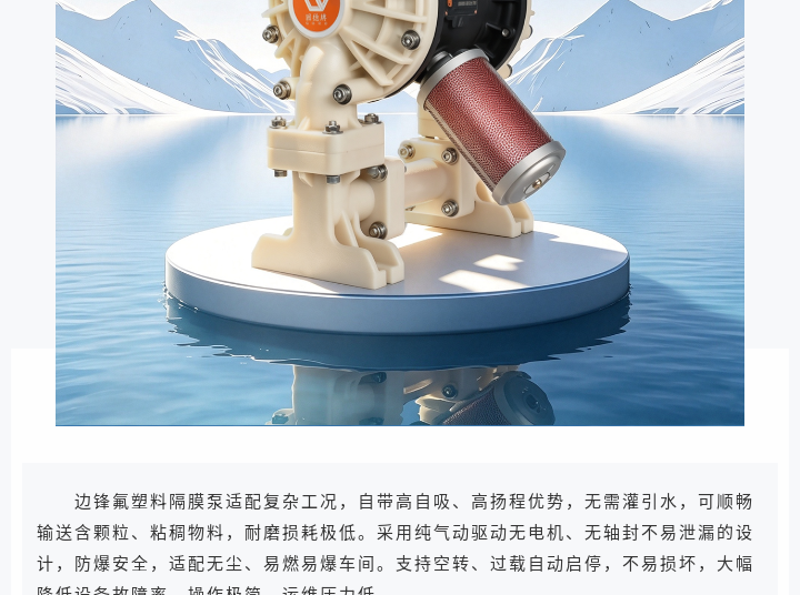 1 (5) 边锋气动隔膜泵BFQ-25FTFF图三