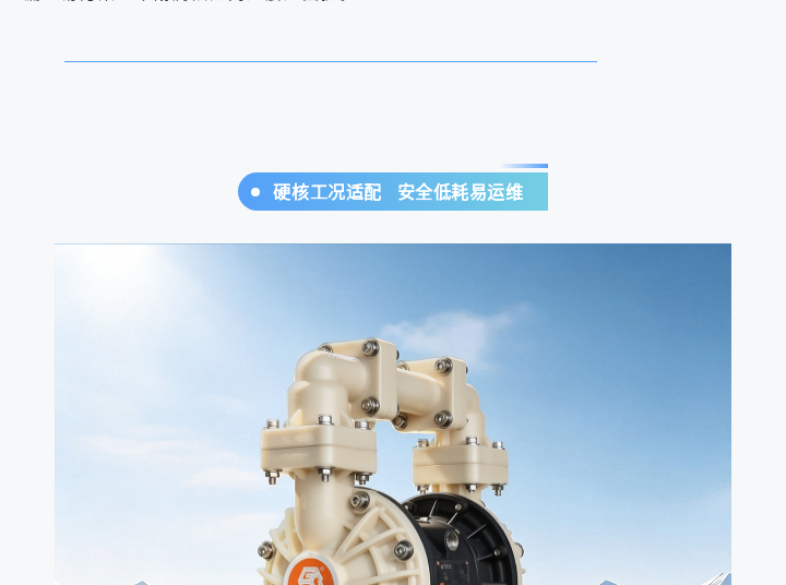 1 (6) 边锋气动隔膜泵BFQ-25FTFF图二