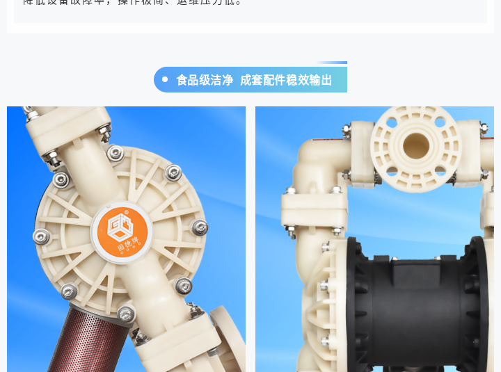 1 (4) 边锋气动隔膜泵BFQ-25FTFF图四