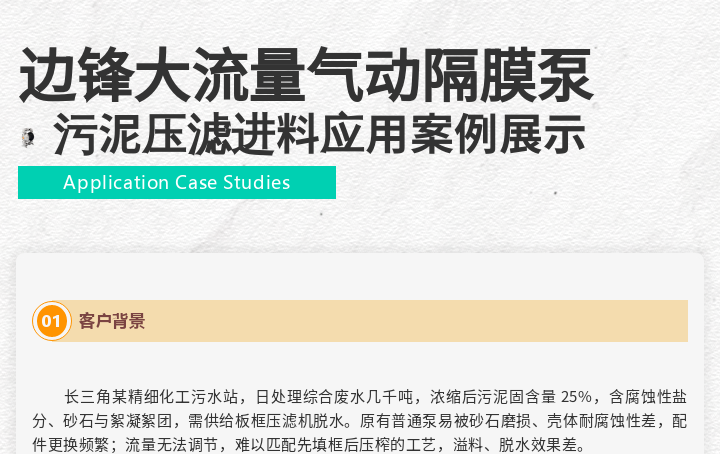 1 (6) 边锋 BFQ 大流量气动隔膜泵图一
