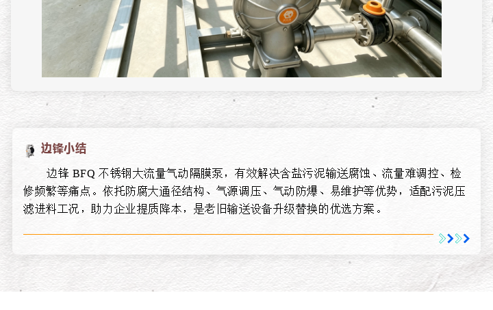 1 (1) 边锋 BFQ 大流量气动隔膜泵图六