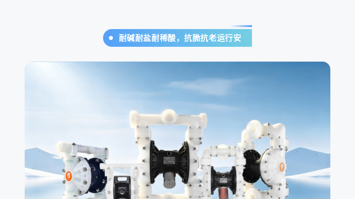1 (5) 塑料气动隔膜泵选型指南2